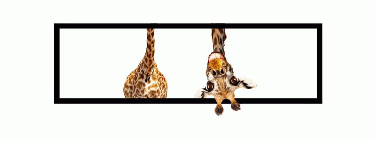 DEF_GIRAFFE_RAHMEN DEF_GIRAFFE_RAHMEN