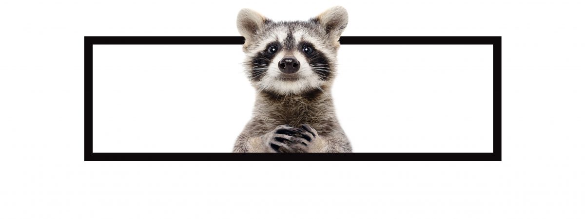 WASCHBAR